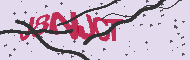 Captcha認証コード