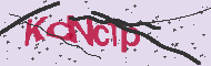 Captcha認証コード
